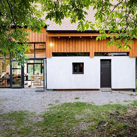 Aster Panzio Bed & Breakfast Cimpu Cetatii ภายนอก รูปภาพ