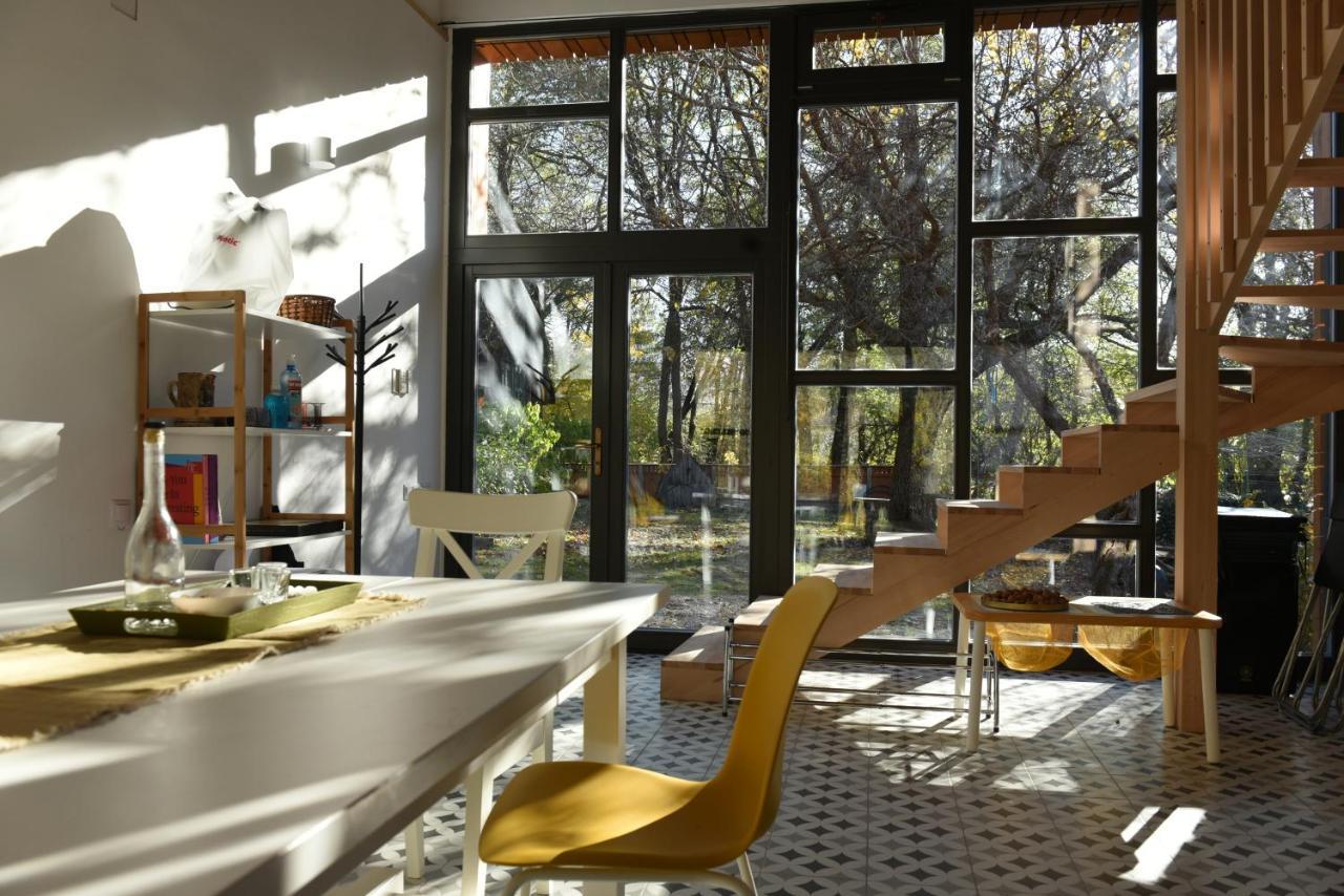 Aster Panzio Bed & Breakfast Cimpu Cetatii ภายนอก รูปภาพ