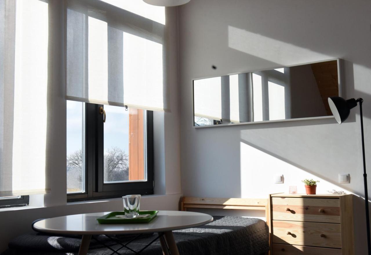 Aster Panzio Bed & Breakfast Cimpu Cetatii ภายนอก รูปภาพ
