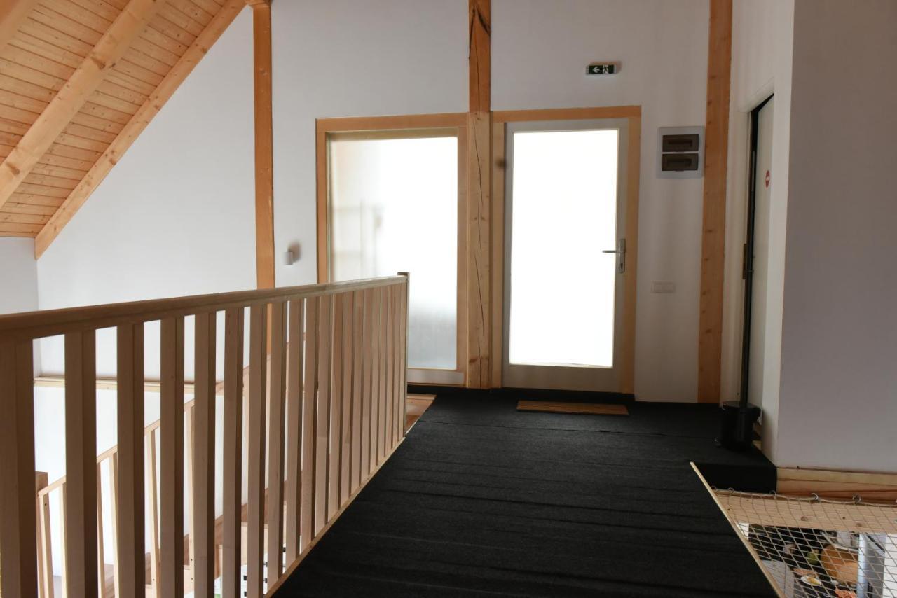 Aster Panzio Bed & Breakfast Cimpu Cetatii ภายนอก รูปภาพ