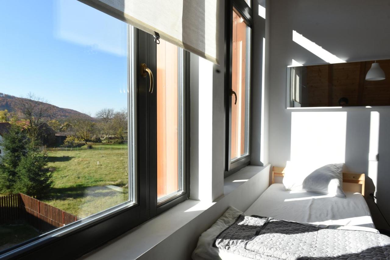 Aster Panzio Bed & Breakfast Cimpu Cetatii ภายนอก รูปภาพ