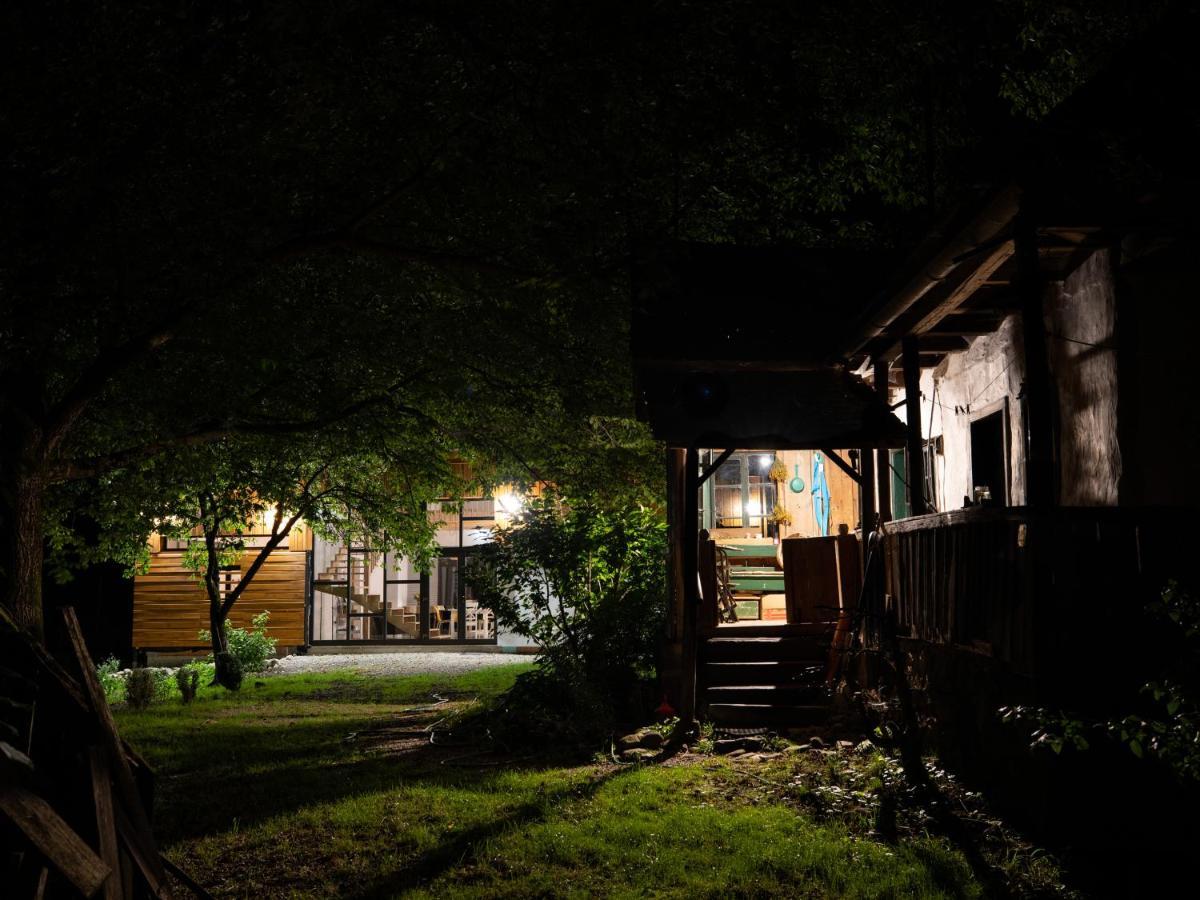 Aster Panzio Bed & Breakfast Cimpu Cetatii ภายนอก รูปภาพ