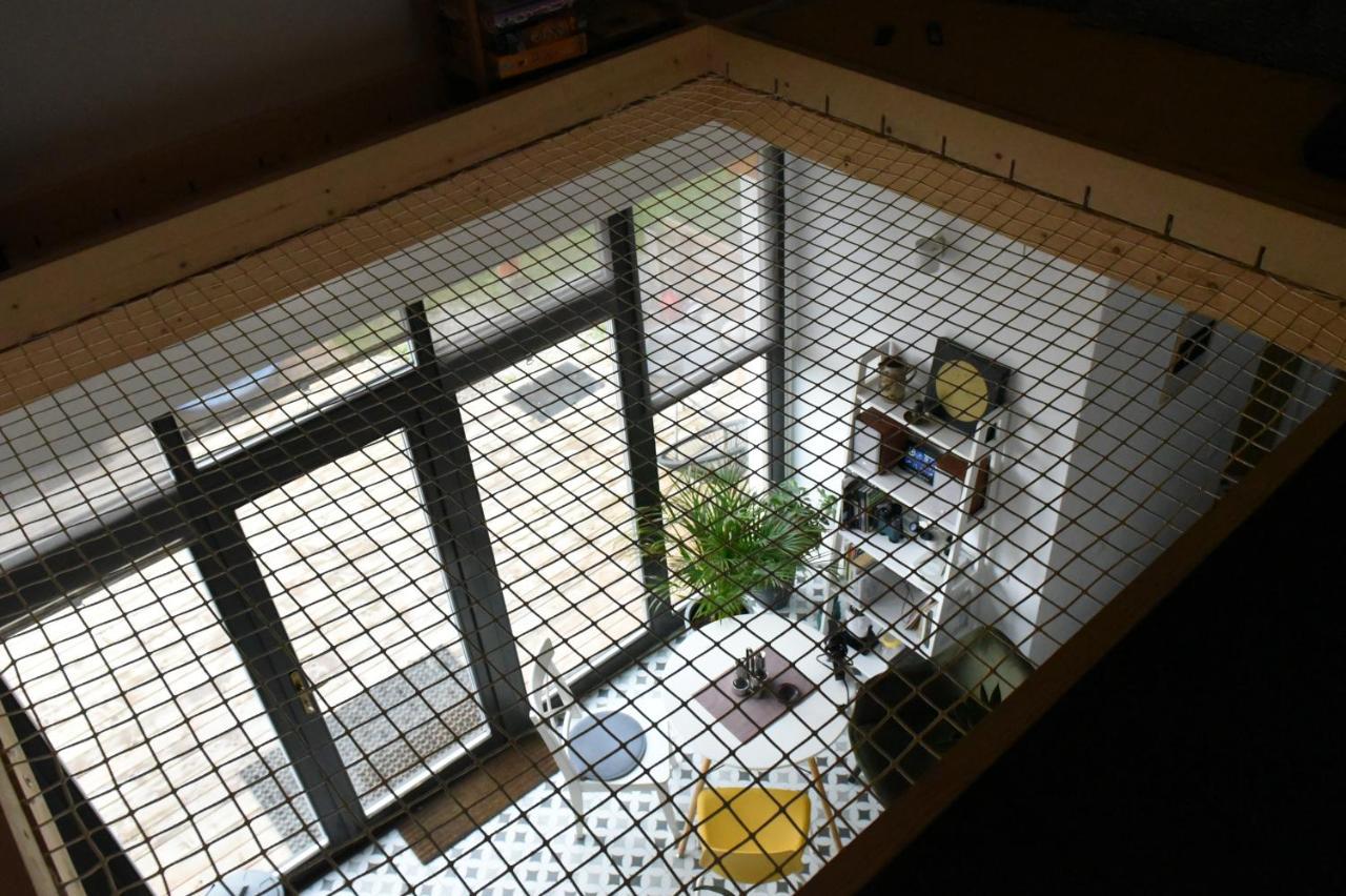 Aster Panzio Bed & Breakfast Cimpu Cetatii ภายนอก รูปภาพ
