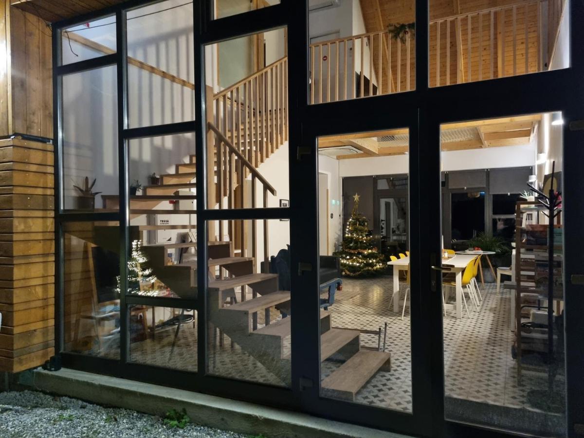 Aster Panzio Bed & Breakfast Cimpu Cetatii ภายนอก รูปภาพ