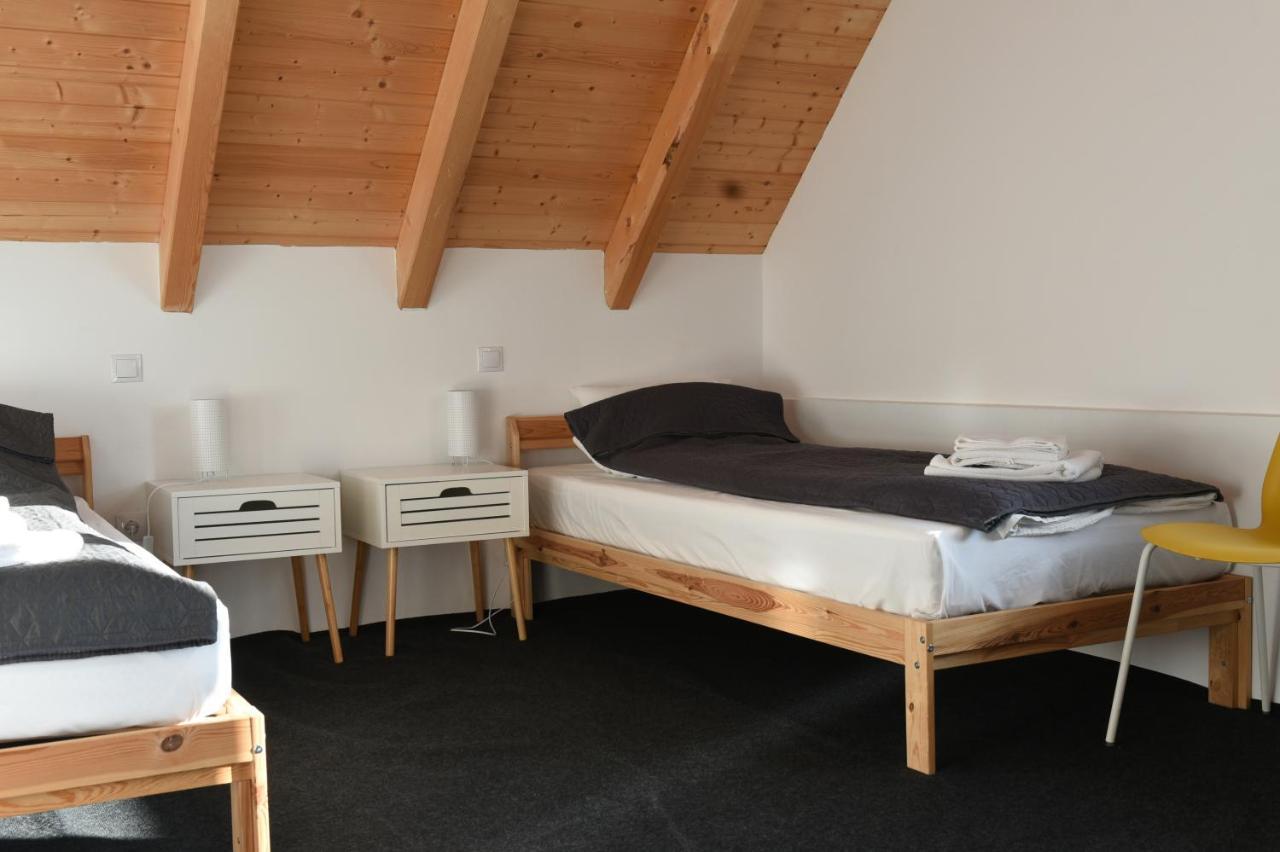 Aster Panzio Bed & Breakfast Cimpu Cetatii ภายนอก รูปภาพ