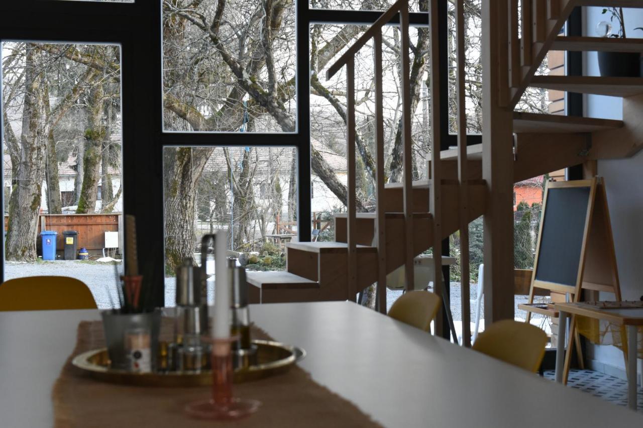 Aster Panzio Bed & Breakfast Cimpu Cetatii ภายนอก รูปภาพ