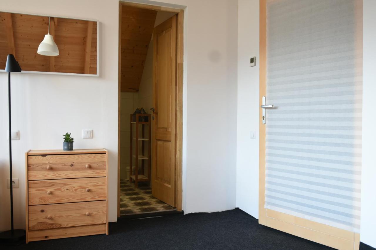 Aster Panzio Bed & Breakfast Cimpu Cetatii ภายนอก รูปภาพ