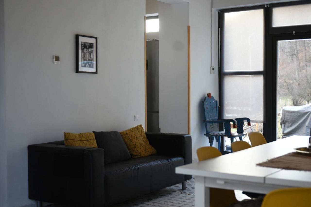 Aster Panzio Bed & Breakfast Cimpu Cetatii ภายนอก รูปภาพ